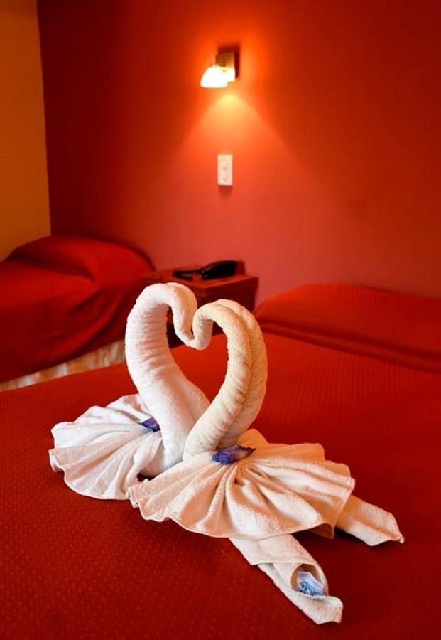 Hotel Nonquen Merlo エクステリア 写真